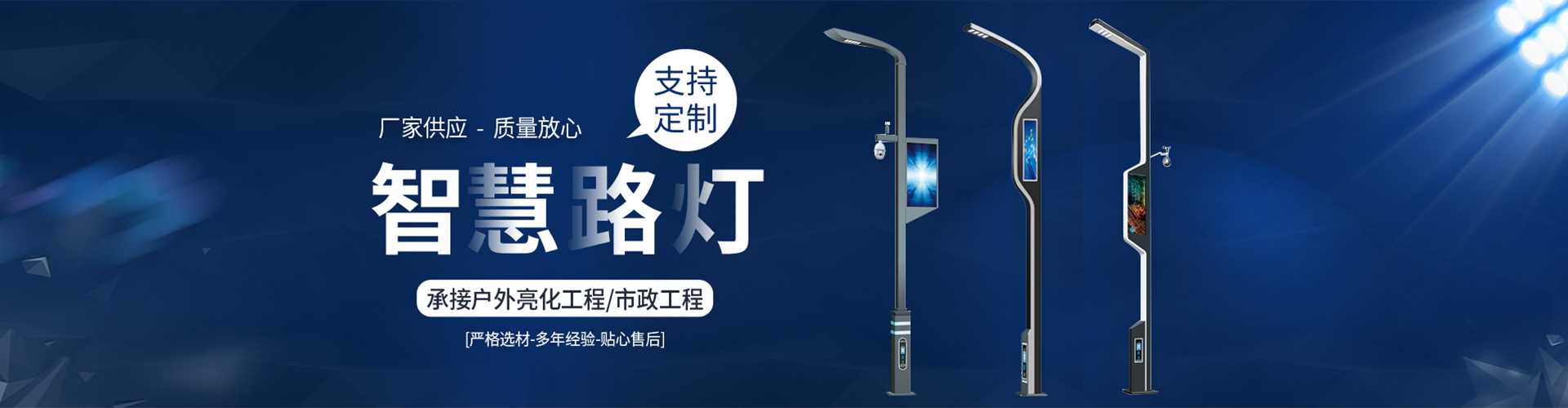 丰泽区太阳能路灯定制厂家
