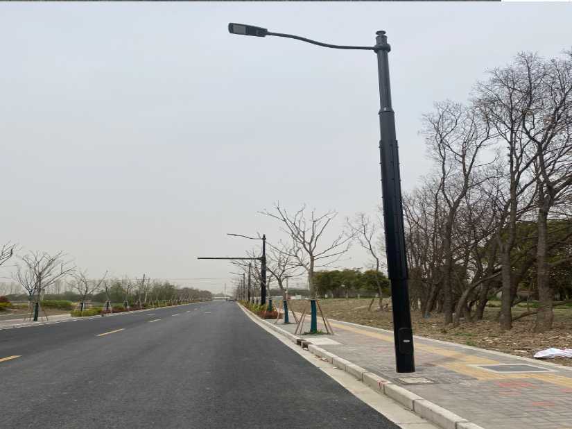 丰泽区上海综合杆 太阳能路灯工程